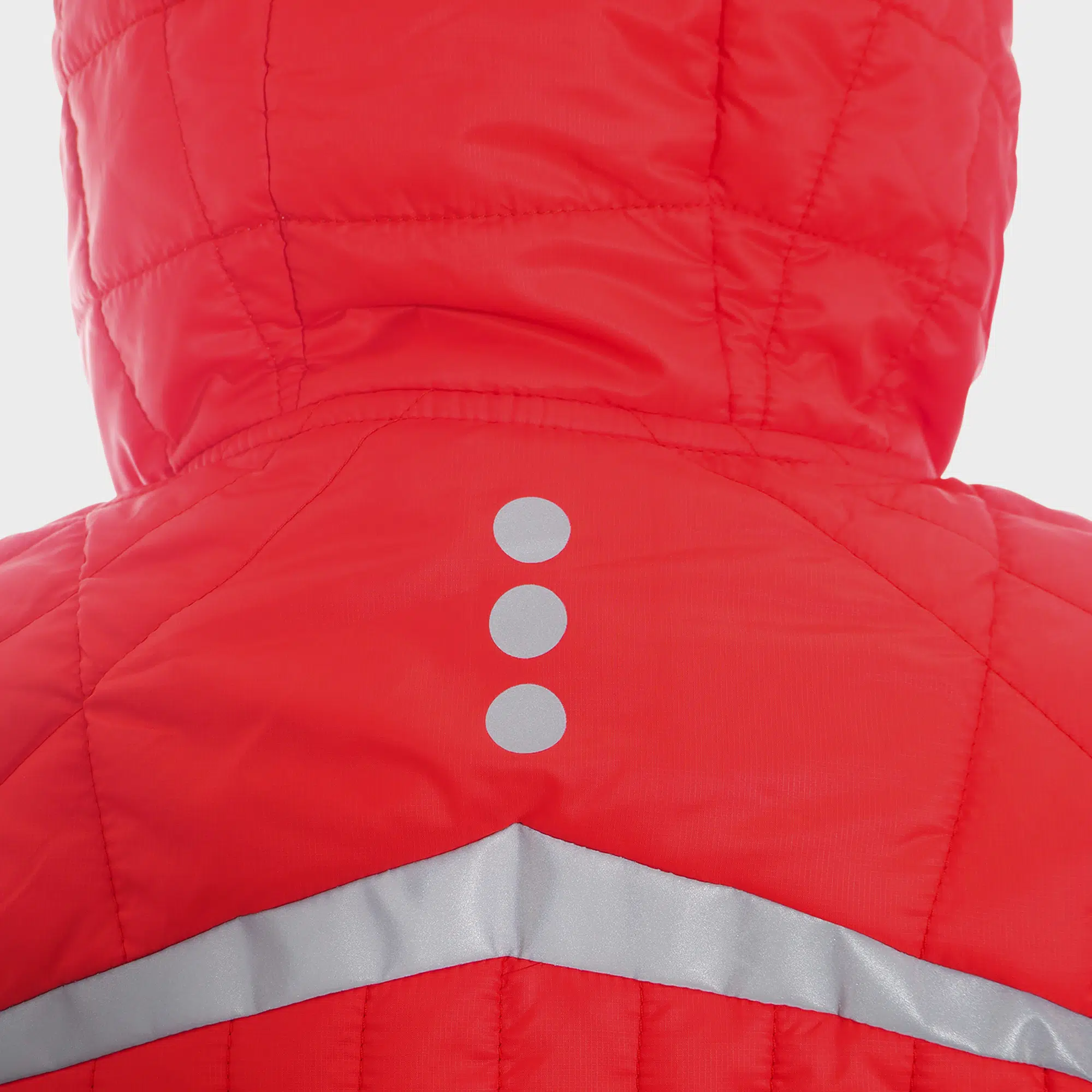 Fernie W 20 6 Fernie W 20 – Image 6